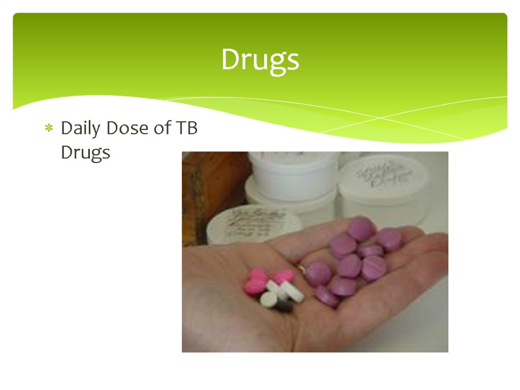 Drugs Daily Dose of TB Drugs